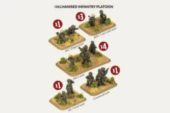 Mechanised Infantry Platoon