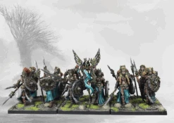 Conquest: Nord Valkyries 9 Conquest: Nord Valkyries -Games Workshop Sale c9mD3HAffB9KhaUo29Srmxro8Fs49KQxsT